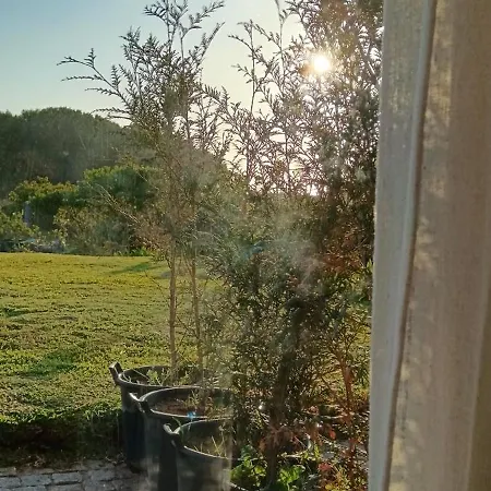 Moimenta מינדלו