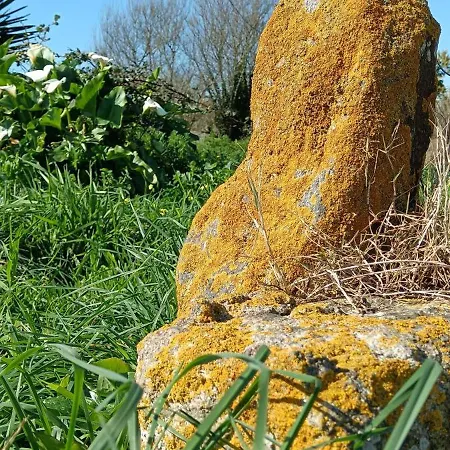 לינה וארוחת בוקר Moimenta 3*