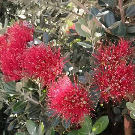 Moimenta 3* מינדלו