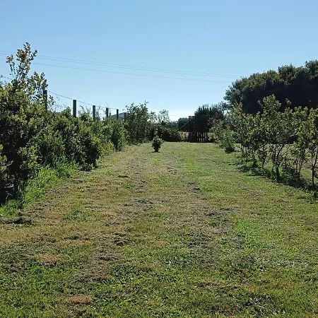 Moimenta לינה וארוחת בוקר מינדלו