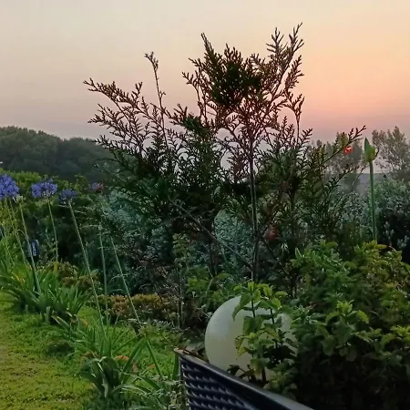 B&B Moimenta 민델루
