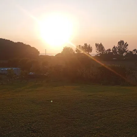 Moimenta מינדלו