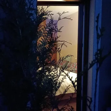 לינה וארוחת בוקר Moimenta