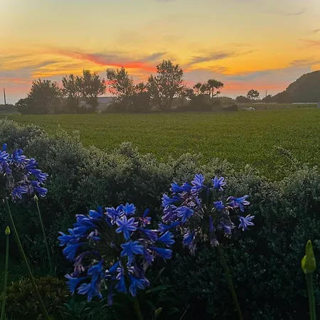 לינה וארוחת בוקר Moimenta