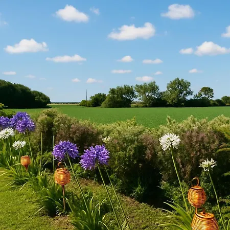 Moimenta 3* מינדלו