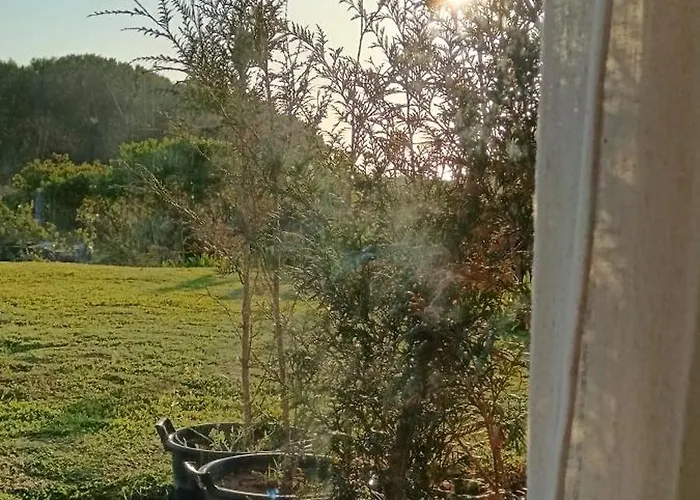 Moimenta מינדלו