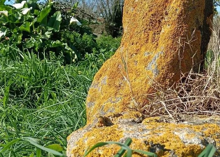 Bed & Breakfast Moimenta 3*