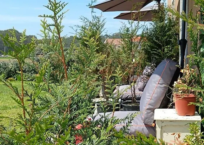 Moimenta 3* מינדלו