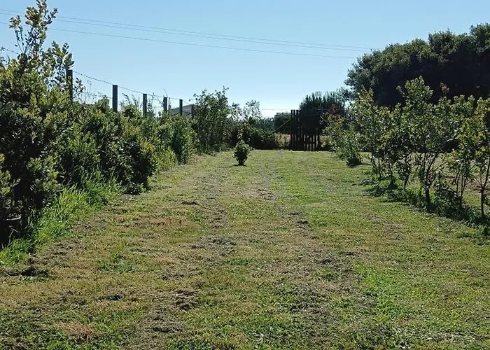 Moimenta Panzió Mindelo