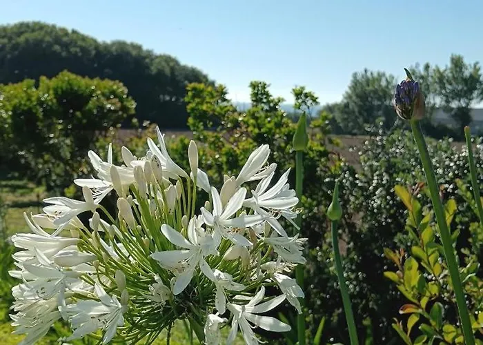 Bed & Breakfast Moimenta Mindelo