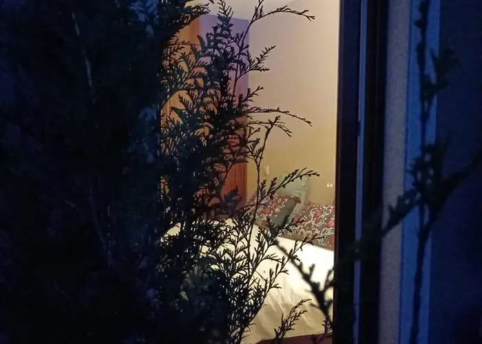 לינה וארוחת בוקר Moimenta