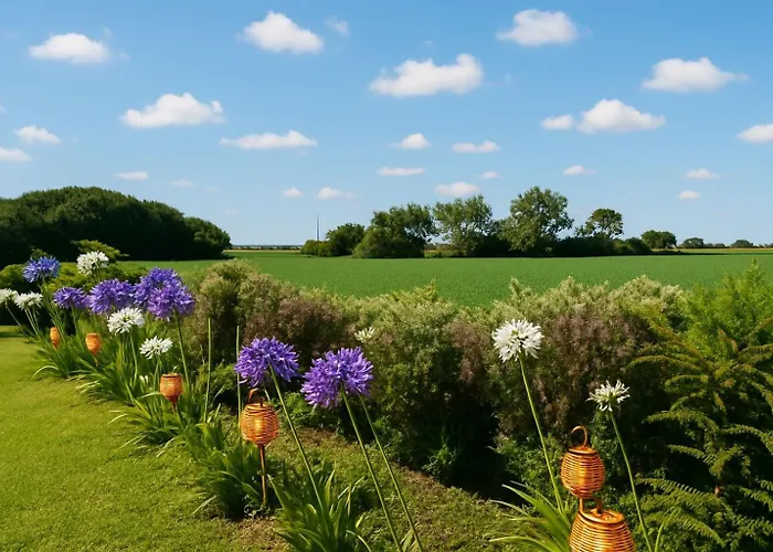 Moimenta 3* מינדלו