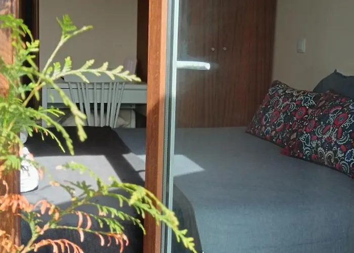 Bed & Breakfast Moimenta 3*